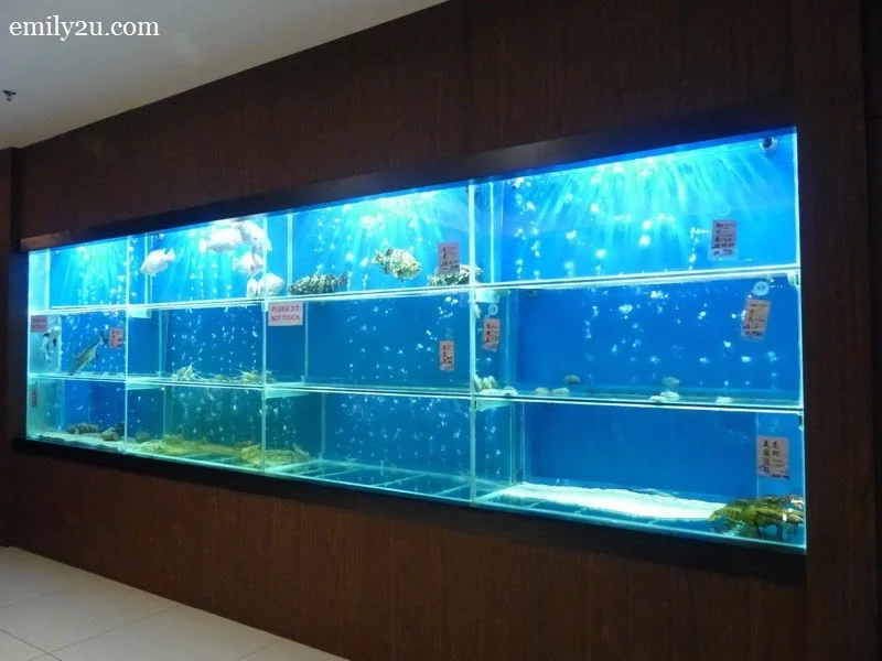 4. aquariums