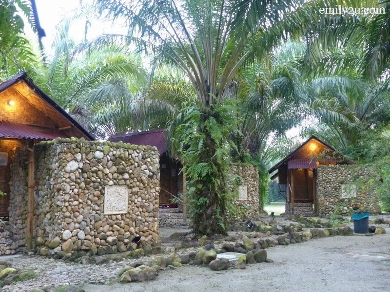 17. accommodation at Kg. Buloh