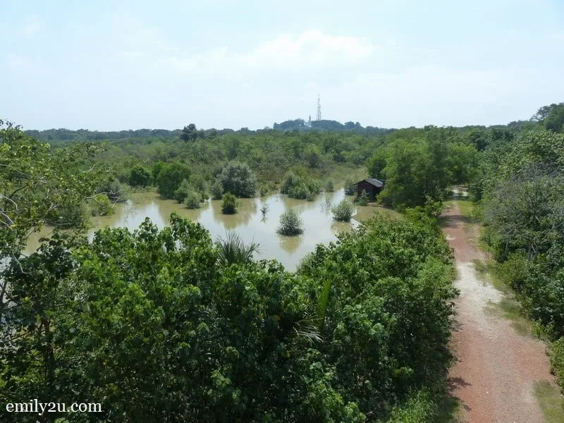 10. view from the observation tower