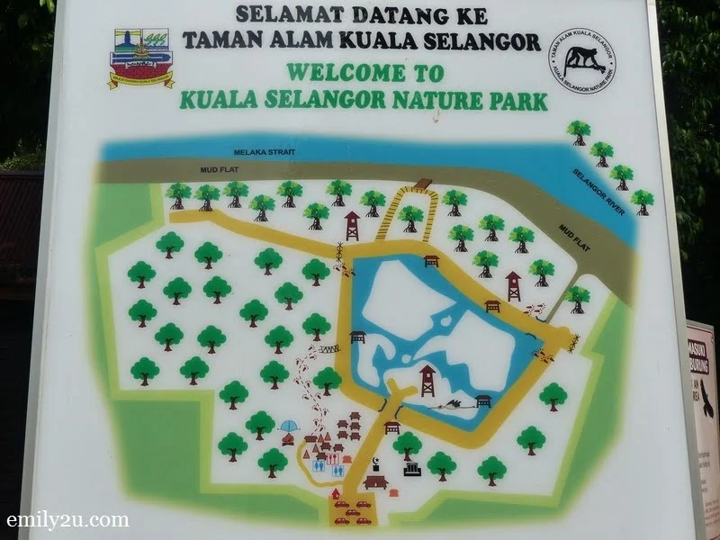 3. layout map