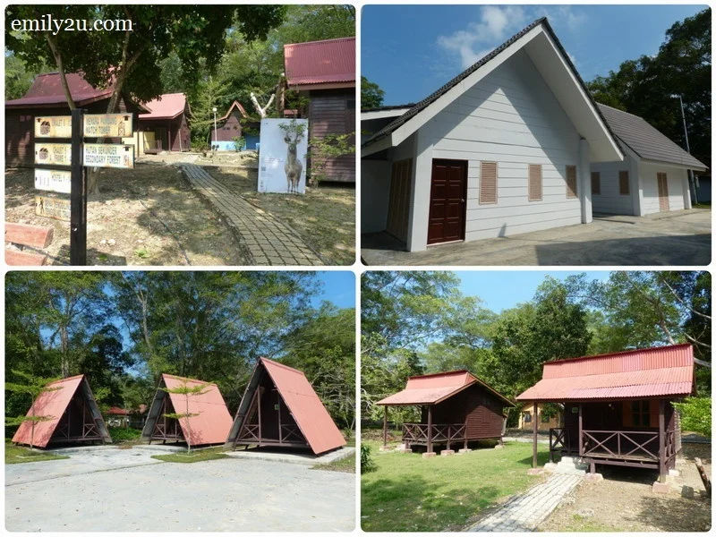 6. accommodation types