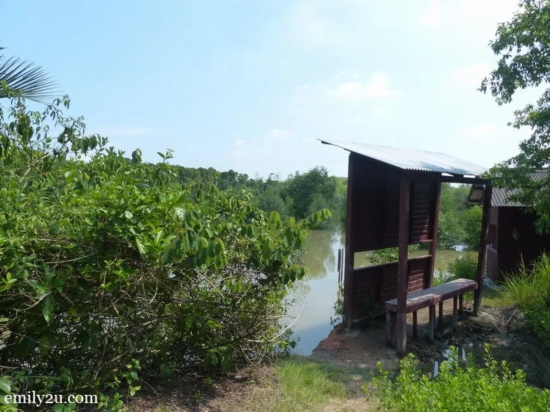 8. designated bird-watching area