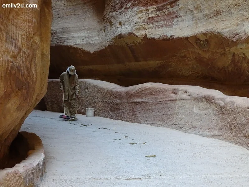 10. with so many animals around, you wonder why there are no droppings....