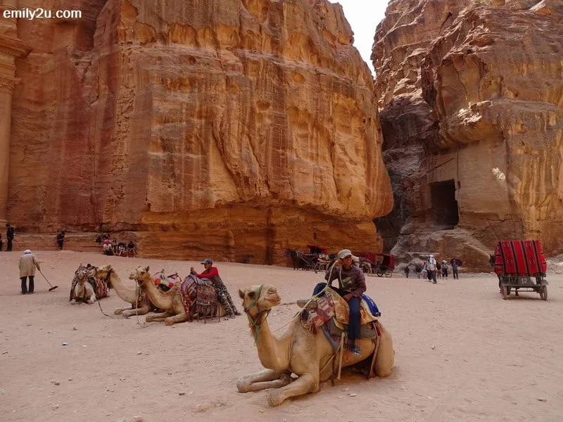 14. camels at The Treasury