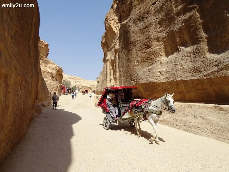 29. horse caravan