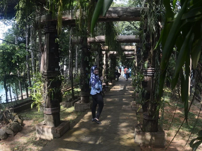 4. Orchid Garden