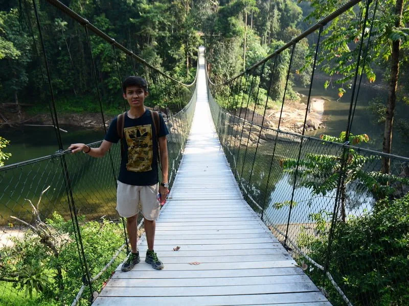 3. suspension bridge