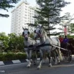 Ipoh Car-Free Day: World Car-Free Day 5 Ipoh Car Free Day
