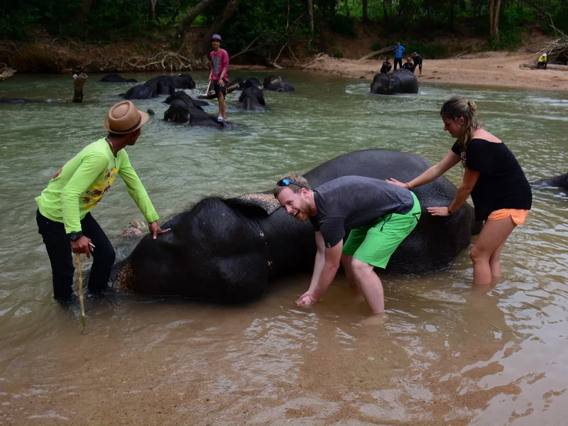 8. Kenyir Elephant Village