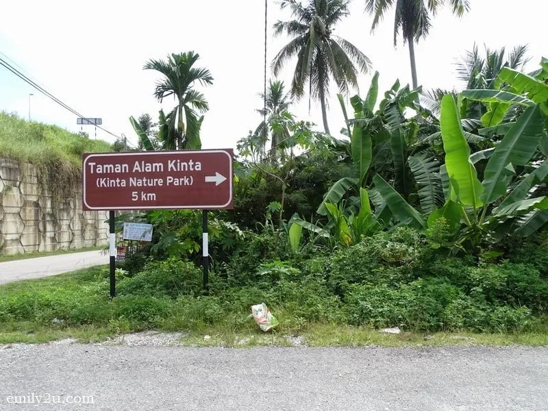1. 5km to Kinta Nature Park