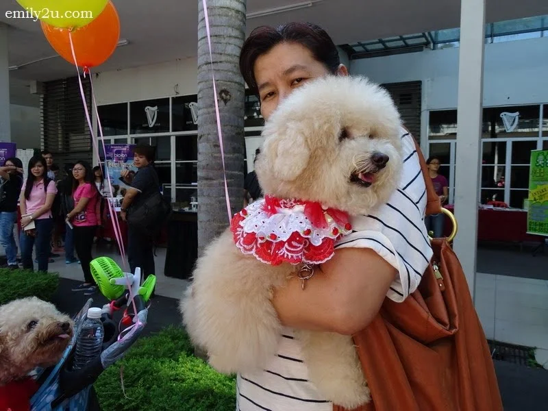 12. being carried is better than having to walk