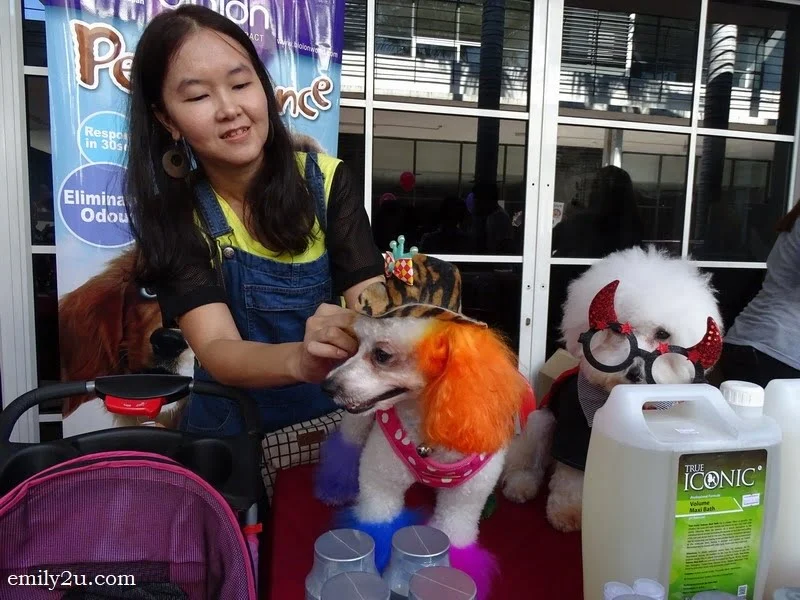 16. aha, they are from the Pets Pounce booth