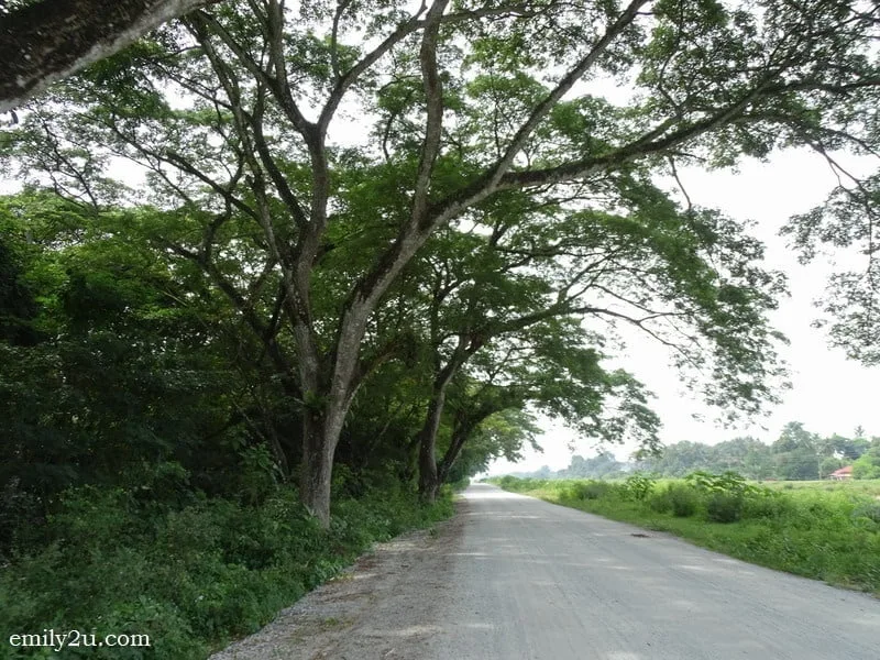 2. this untarred road is damaging to car's undercarriage and tyres, so drive slowly