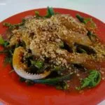 3 cuttlefish