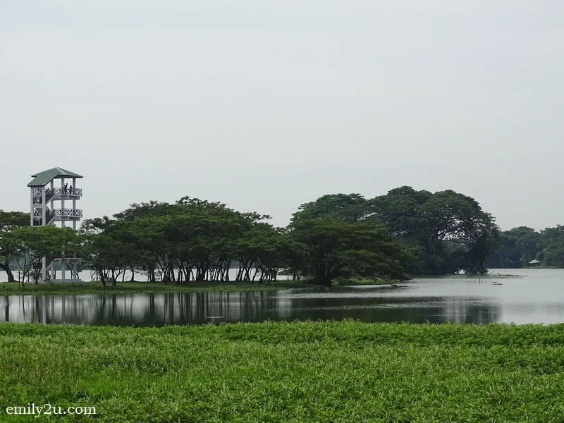 4. a bird-watching tower by the lake