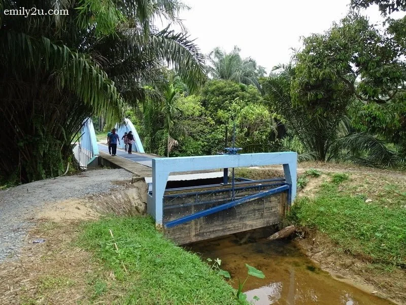 5. Sungai Atas Sungai
