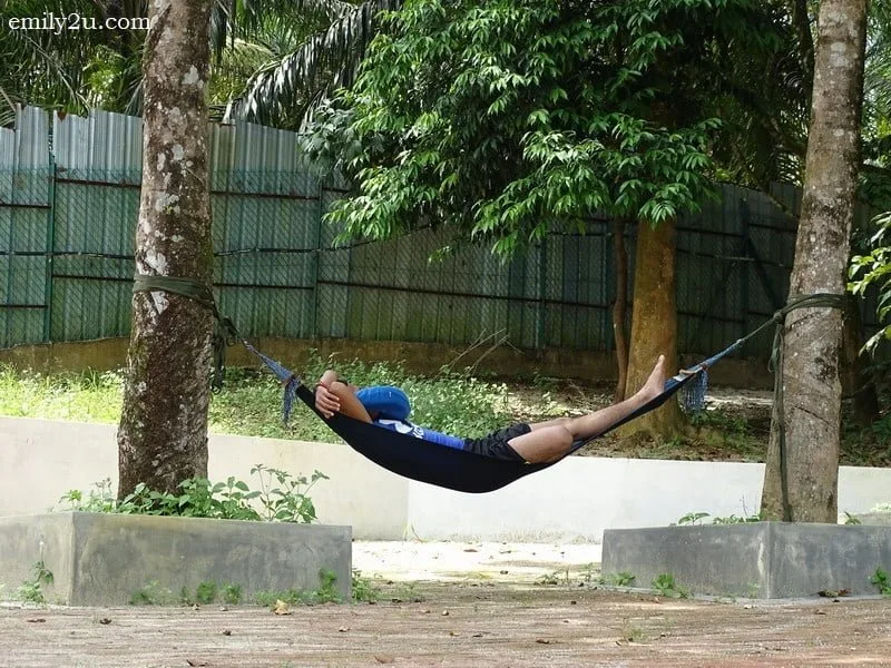 6. snoozing in the heat of the day