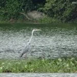 7 Taman Alam Kinta