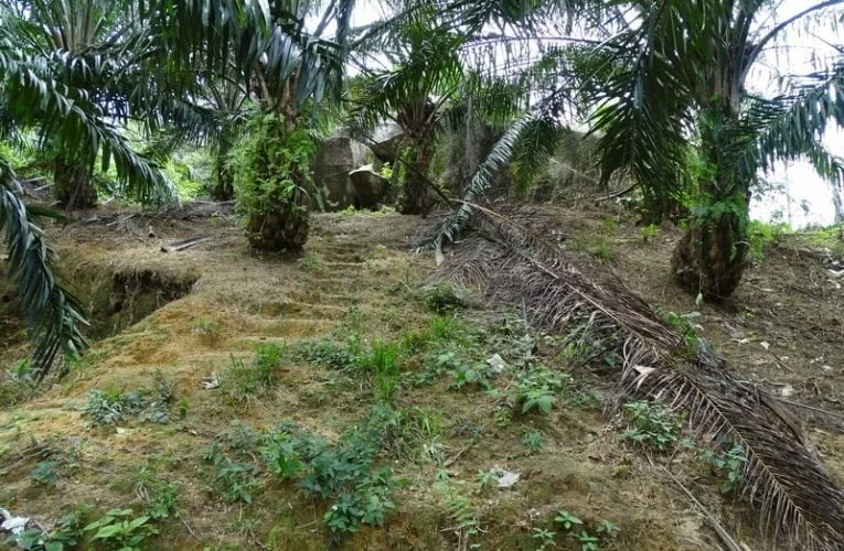 Kota Persembunyian Raja Bersiong in Selama (Perak)