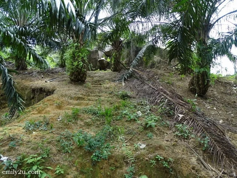8. Kota Persembunyian Raja Bersiong