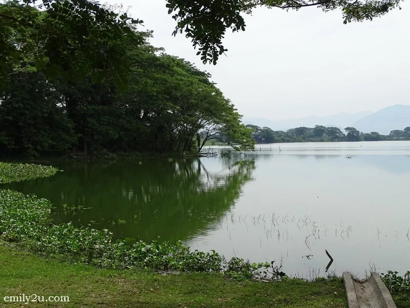 8. lake in another part of the park