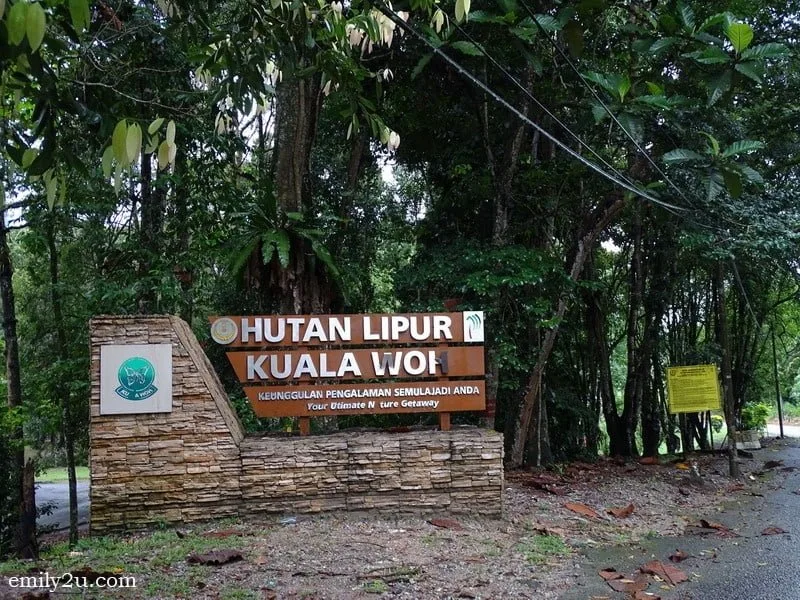  1. heading to Kuala Woh Recreational Forest