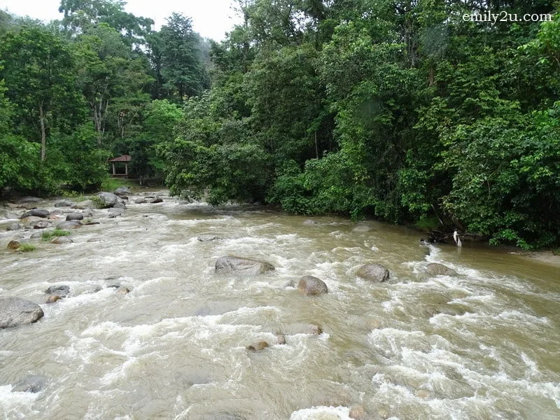 12. ferocious rapids 