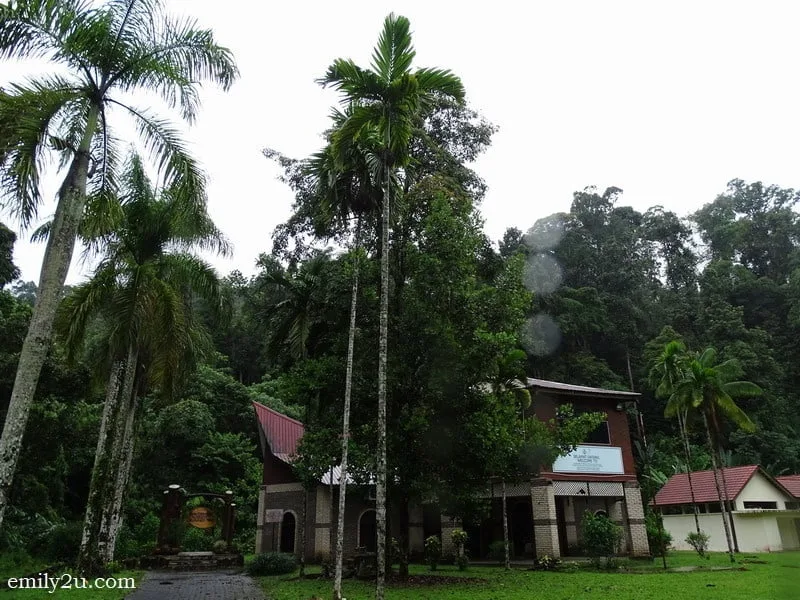 15. Forestry Gallery - Kuala Woh Amenity Forest
