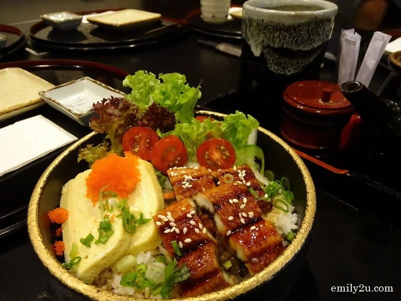 15. Unagi Tamago Don