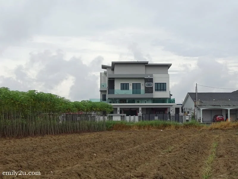 16. a testimony of prosperity in Kampung Baru Coldstream