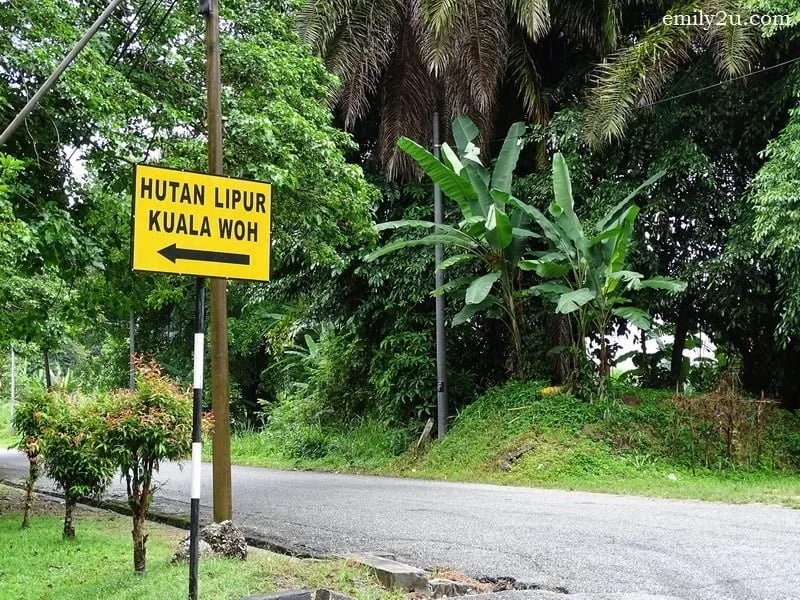 2. turn this way
