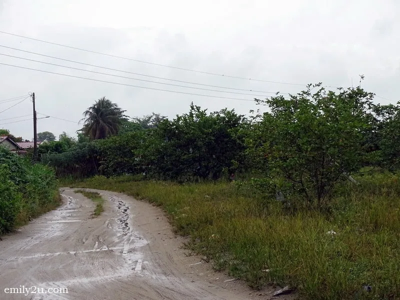 4. village road