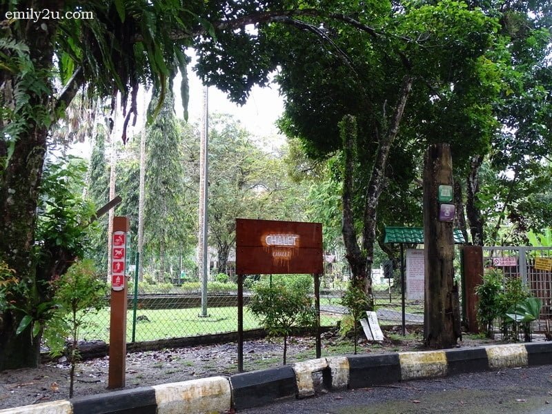 6 Kuala Woh Recreational Forest