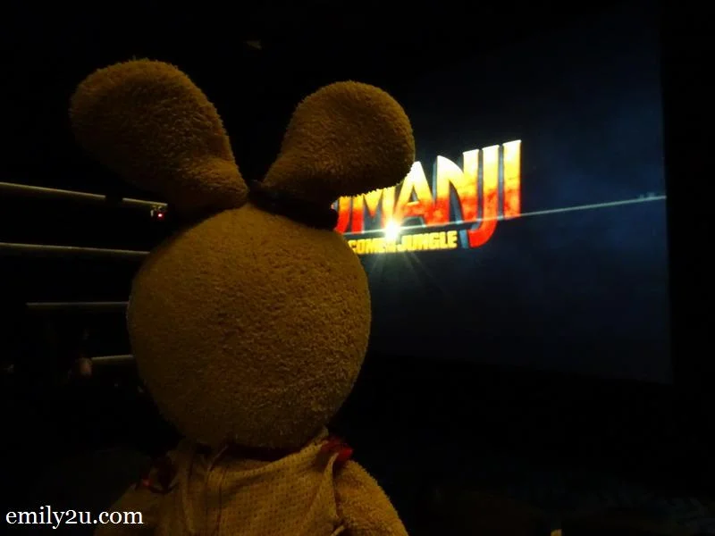 7. Rabbit is ready for showtime