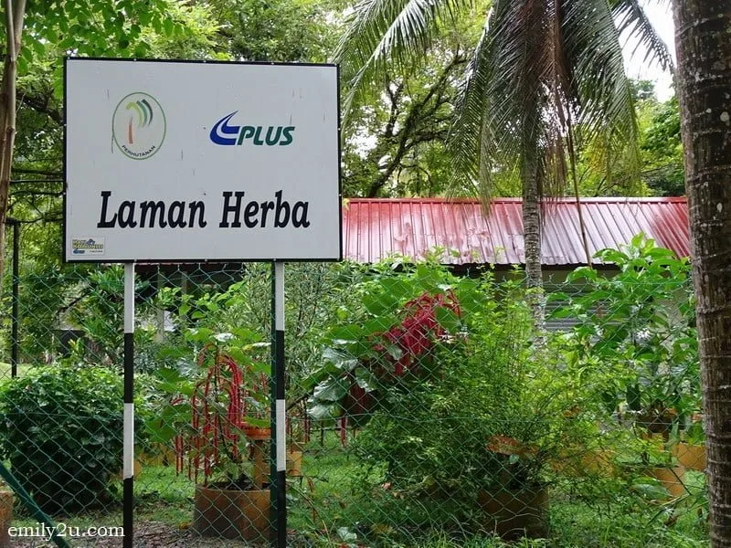  7. herbal garden