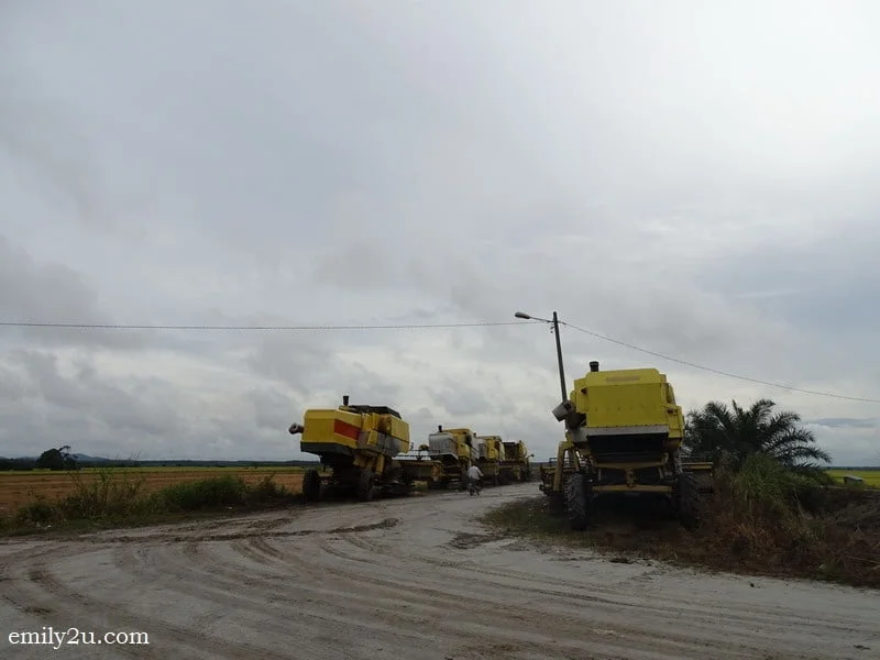 8. combine harvesters parked by the fields
