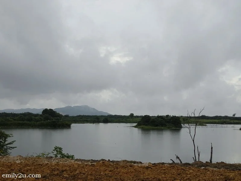 9. tranquil disused mining pond
