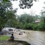 Kuala Woh Recreational Forest, Tapah, Perak 9 Kuala Woh Recreational Forest