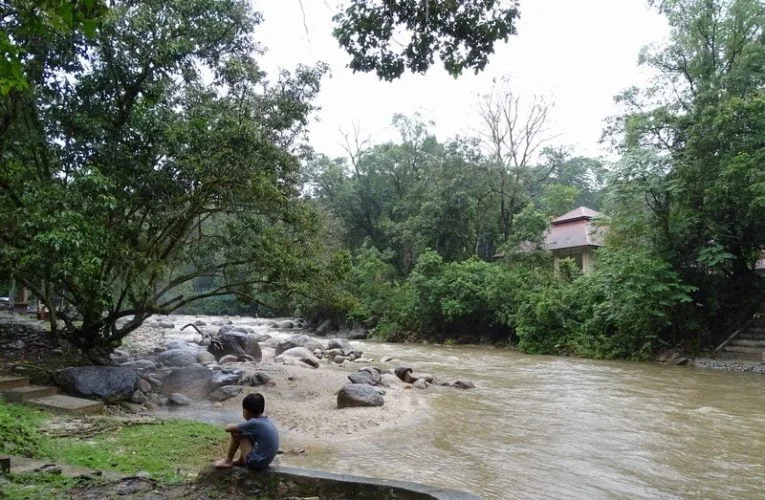 Kuala Woh Recreational Forest, Tapah, Perak