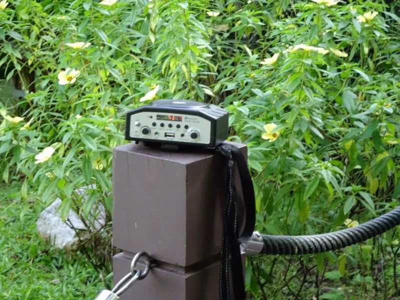 bird calling machine