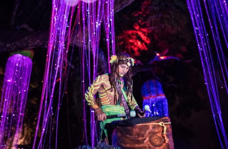 Launch of the Enchanting ‘Luminous Forest’ @ Lost World of Tambun