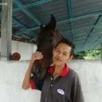 2 iSmart Outdoor Equestrian Facility