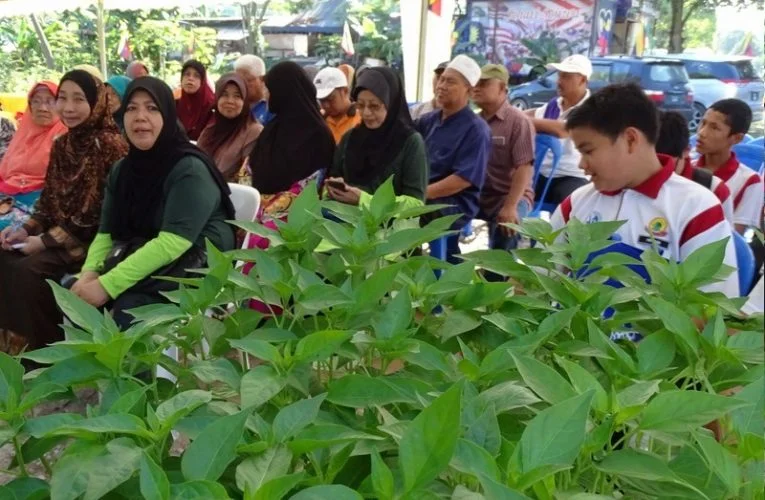 Putrajaya Urban Farming