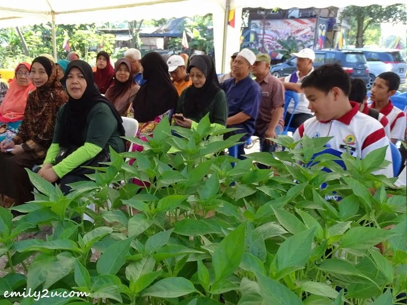 1. Putrajaya Urban Farming workshop for students and teachers