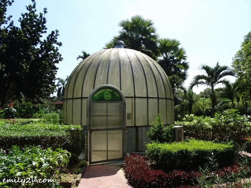 18. Temperate Dome Herba