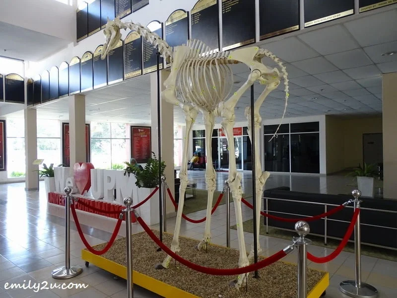 2. at the university lobby