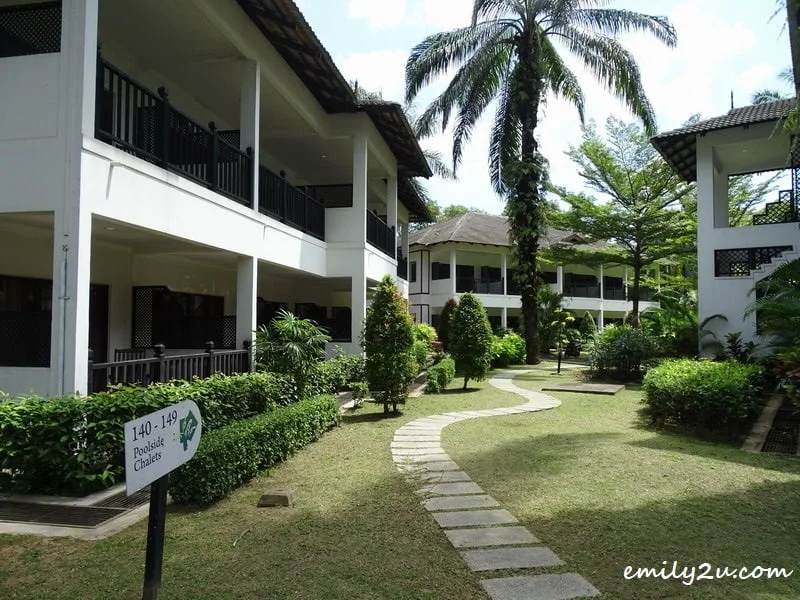 20. the lawn