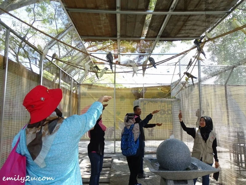 29. free-flight walk-in aviary