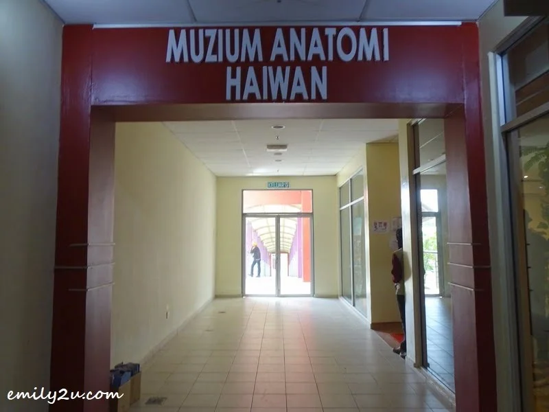 4. Animal Anatomy Museum