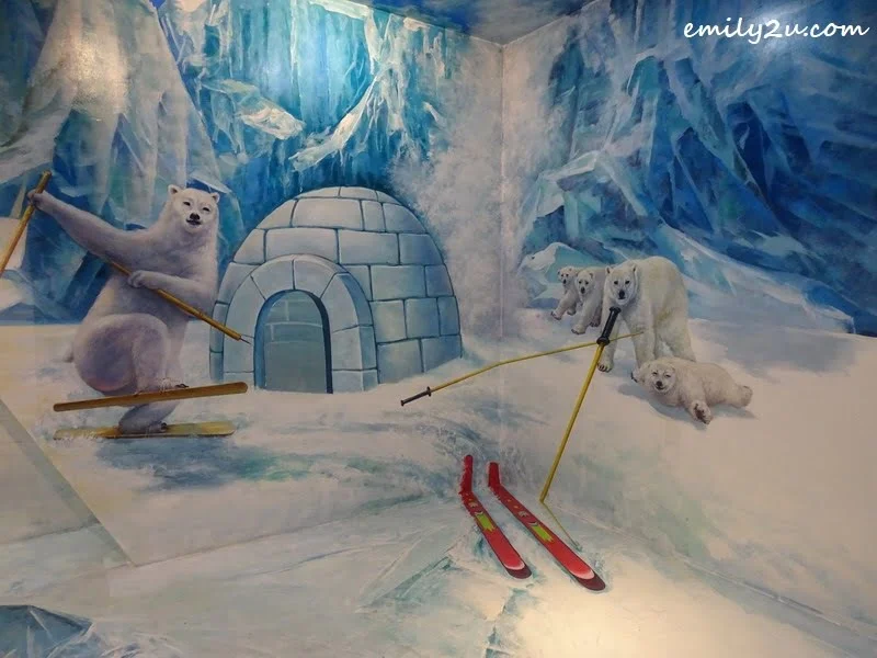 11. polar skiing